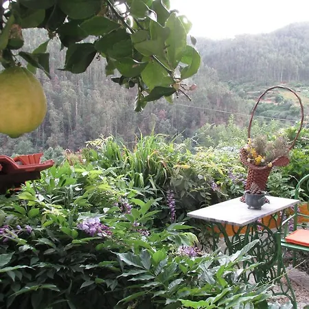 Terracos Da Beira Country house *