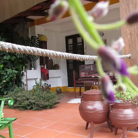 Country house Terracos Da Beira *