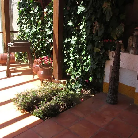 Terracos Da Beira * Segade